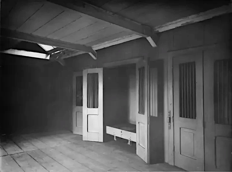 Asylum for the Insane